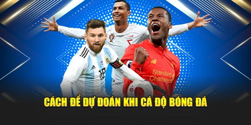 Cách để dự đoán khi cá độ bóng đá