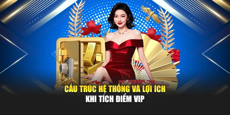 Cấu trúc hệ thống và lợi ích khi tích điểm VIP