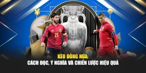 Kèo Đồng Nửa: Cách Đọc, Ý Nghĩa Và Chiến Lược Hiệu Quả