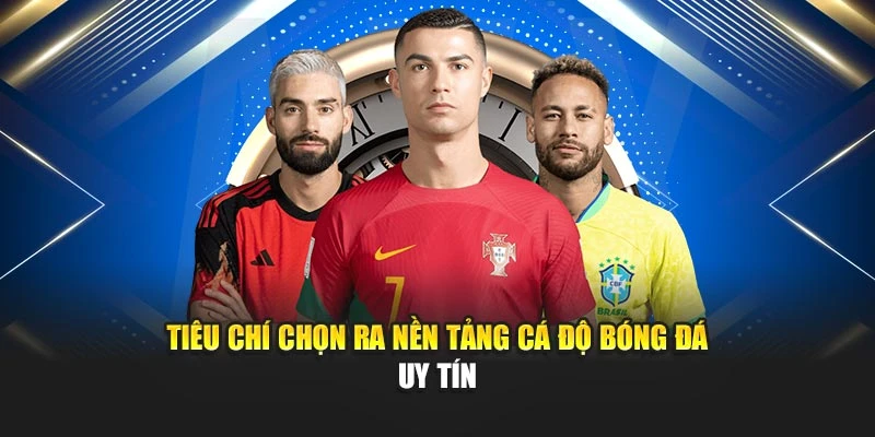 Tiêu chí chọn ra nền tảng cá độ bóng đá uy tín