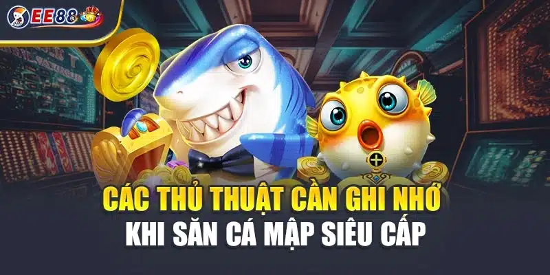 Các thủ thuật cần ghi nhớ khi săn cá mập siêu cấp