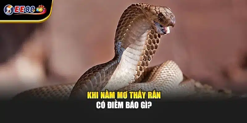 Khi nằm mơ thấy rắn có điềm báo gì?