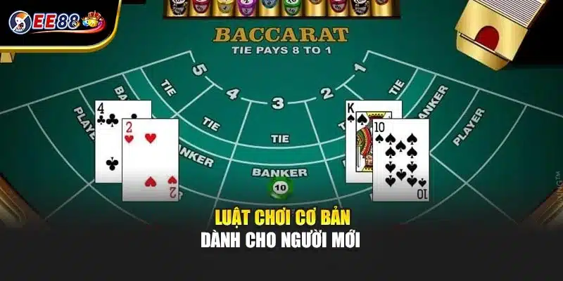Luật chơi cơ bản dành cho người mới 