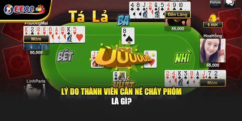 Lý do thành viên cần né cháy phỏm là gì?