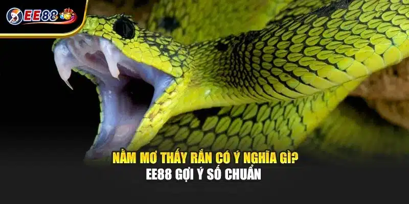 Nằm Mơ Thấy Rắn Có Ý Nghĩa Gì? EE88 Gợi Ý Số Chuẩn