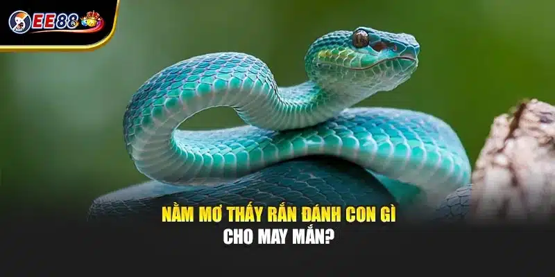 Nằm mơ thấy rắn đánh con gì cho may mắn?