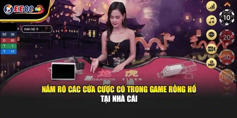 Nắm rõ các cửa cược có trong game rồng hổ tại nhà cái